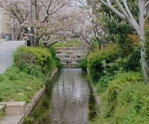 My local ! shichido Osaka Japan