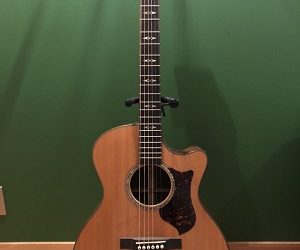 Martin GPCPA1 Plus